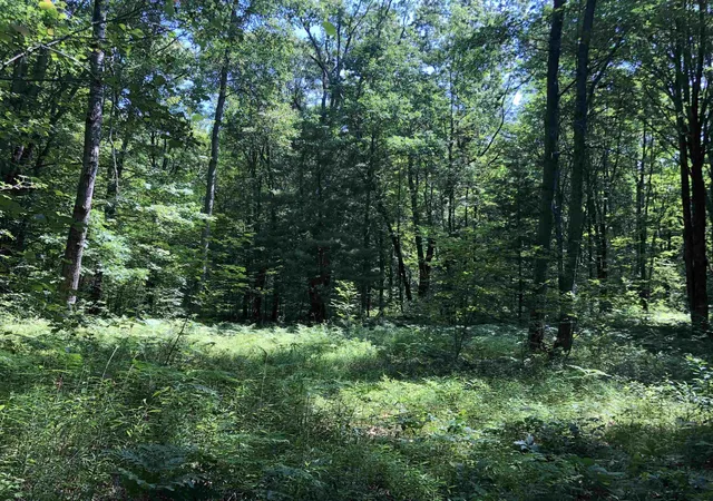 4th image of Tbd Peasley Blvd, Harrison, MI 48625 | MLS# 50214659