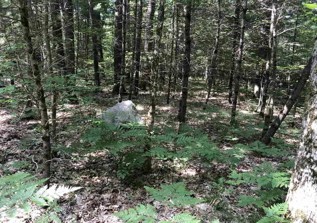 5th image of Tbd Peasley Blvd, Harrison, MI 48625 | MLS# 50214659