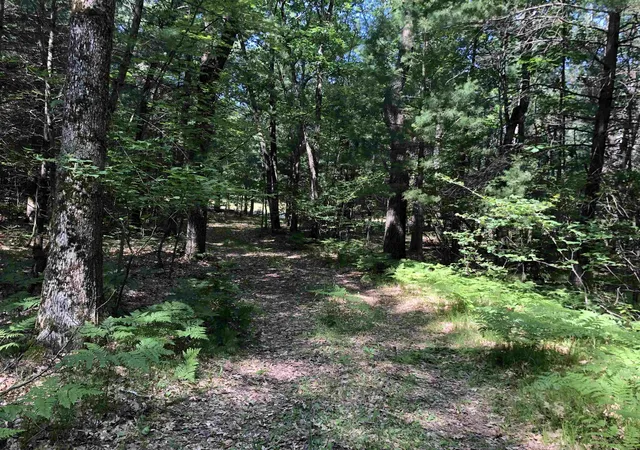 8th image of Tbd Peasley Blvd, Harrison, MI 48625 | MLS# 50214659