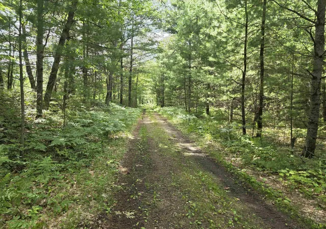 Homes for sale in Lake City, MI | Parcel B Seeley Rd, Lake City, MI 49651 | MLS# 80069645