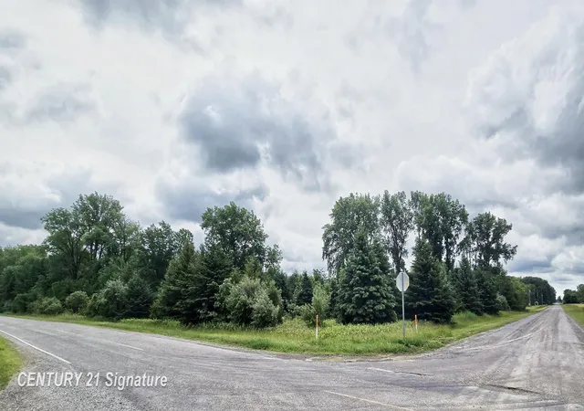 image of Vl Frost Rd, Hemlock, MI 48626 | MLS# 50211594