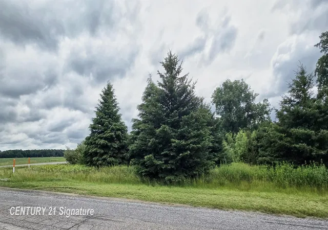 image of Vl Frost Rd, Hemlock, MI 48626 | MLS# 50211594