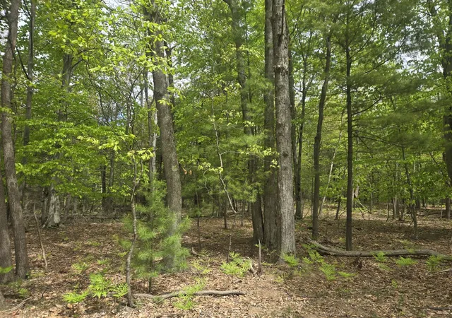 Photo 1 of Land for sale at Vl N Ridge Rd, Mears, MI 49436 | MLS# 70541817 | Listing updated on 2026-08-06