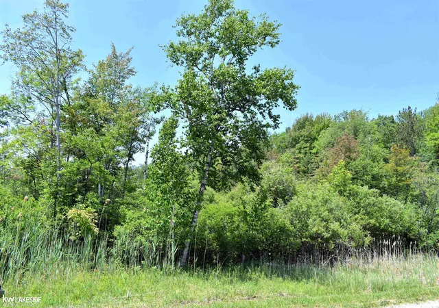 Homes for sale in Port Austin, MI | 0 Oak Beach Rd, Port Austin, MI 48467 | MLS# 50209684