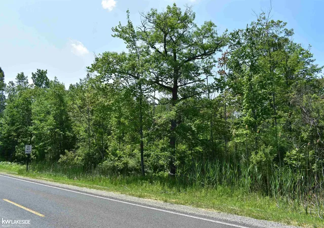 5th image of 0 Oak Beach Rd, Port Austin, MI 48467 | MLS# 50209684