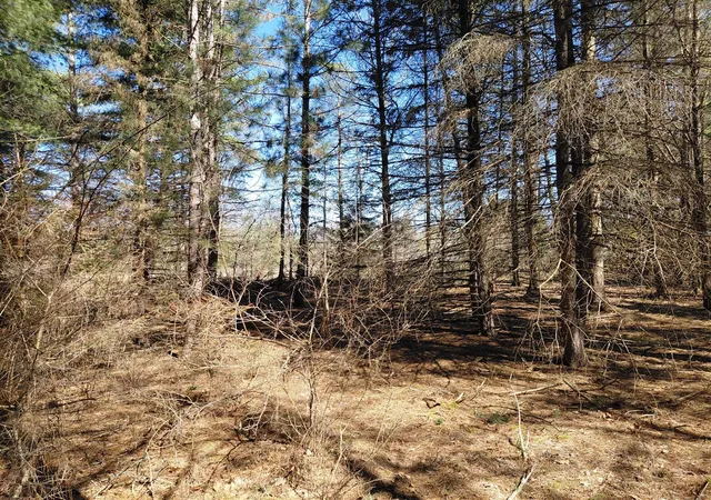 Photo 3 of Sale Pending at V/l E Pine Hl Ave, White Cloud, MI 49349 | MLS# 70523745 | Listing updated on 2026-09-01