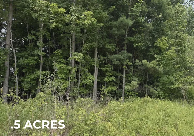 Land for sale at V/l 70422 16th Avenue, South Haven, MI 49090 | MLS# 70547024