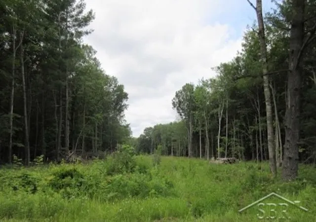 1st image of 6923 Perrine Rd, Midland, MI 48642 | MLS# 50204272