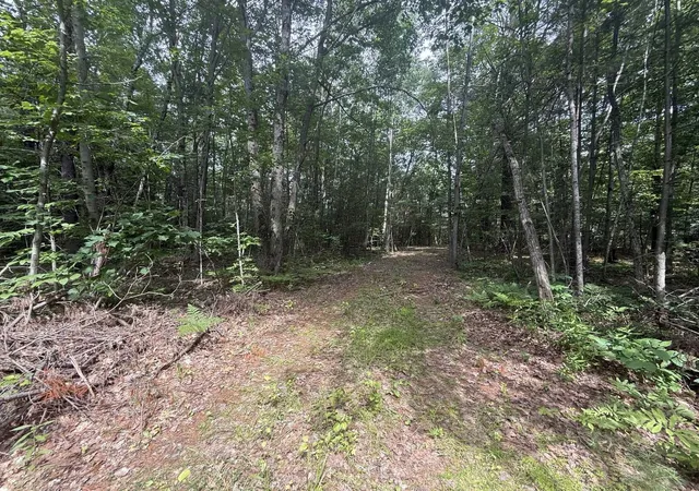 1st image of Vl N M 30 Hwy, Gladwin, MI 48624 | MLS# 50213278