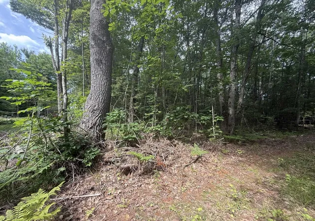 2nd image of Vl N M 30 Hwy, Gladwin, MI 48624 | MLS# 50213278