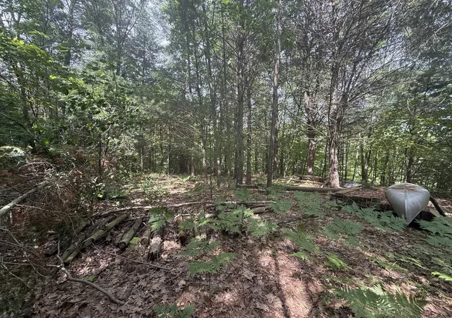 3rd image of Vl N M-30 Hwy, Gladwin, MI 48624 | MLS# 50213278