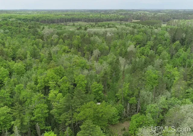 Homes for sale in Iron River, MI | 184 Marten Lake Rd, Iron River, MI 49935 | MLS# 50211182