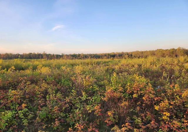 Photo 1 of Land for sale at 40 Acres (1st) Monroe (easement) Rd, Harrison, MI 48625 | MLS# 50190140 | Listing updated on 2026-05-04