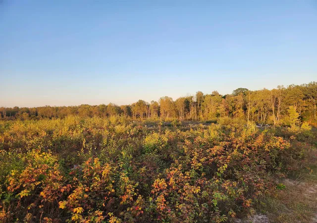 Photo 2 of Land for sale at 40 Acres (1st) Monroe (easement) Rd, Harrison, MI 48625 | MLS# 50190140 | Listing updated on 2026-05-04
