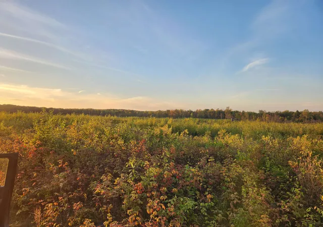 Photo 3 of Land for sale at 40 Acres (1st) Monroe (easement) Rd, Harrison, MI 48625 | MLS# 50190140 | Listing updated on 2026-05-04