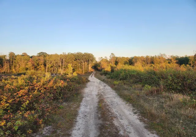 Photo 3 of Land for sale at 40 Acres (1st) Monroe (easement) Rd, Harrison, MI 48625 | MLS# 50190140 | Listing updated on 2026-05-04