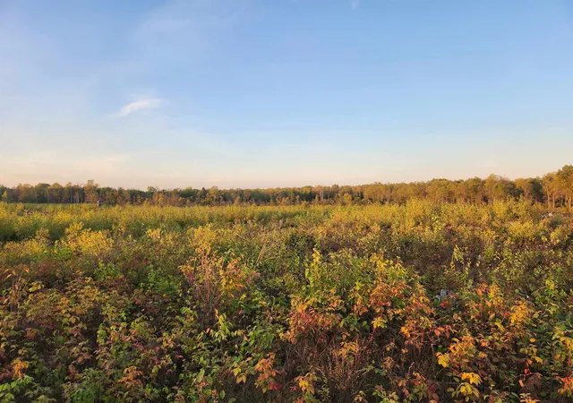 Photo 4 of Land for sale at 40 Acres (1st) Monroe (easement) Rd, Harrison, MI 48625 | MLS# 50190140 | Listing updated on 2026-05-04