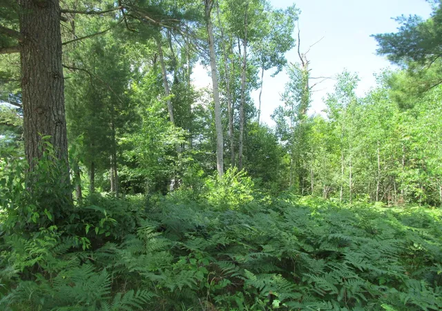 Homes for sale in Cadillac, MI | Lot 63 White Pine Dr, Cadillac, MI 49601 | MLS# 80070775