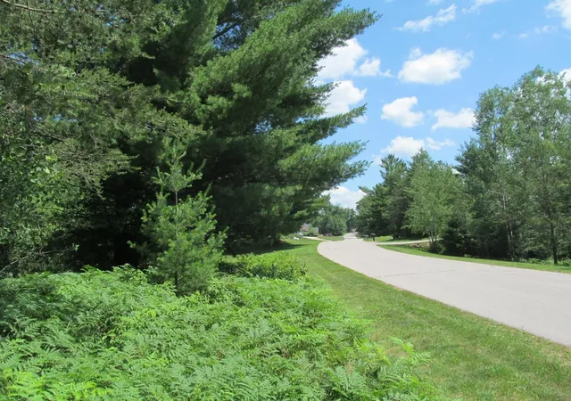 Homes for sale in Cadillac, MI | Lot 63 White Pine Dr, Cadillac, MI 49601 | MLS# 80070775