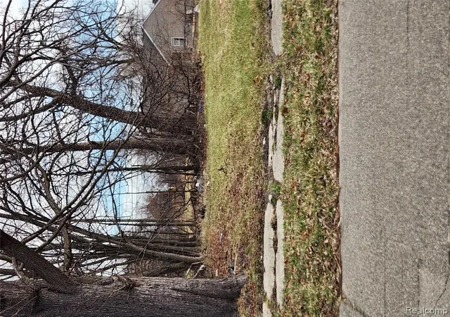 Photo 2 of Land for sale at 3978 16th Street, Detroit, MI 48208 | MLS# 60973730 | Listing updated on 2026-07-07