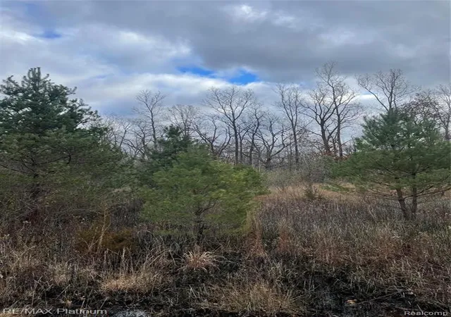 1st image of 0 Seymour Rd, Linden, MI 48451 | MLS# 60981302