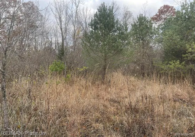2nd image of 0 Seymour Rd, Linden, MI 48451 | MLS# 60981302