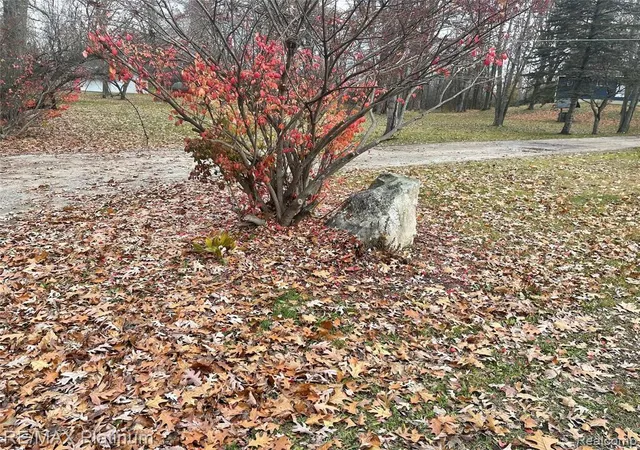 3rd image of 0 Seymour Rd, Linden, MI 48451 | MLS# 60981302