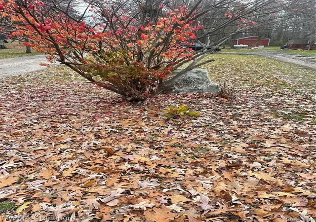4th image of 0 Seymour Rd, Linden, MI 48451 | MLS# 60981302