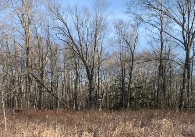 3rd image of 624 E Mckimmy Rd, Gladwin, MI 48624 | MLS# 50191948