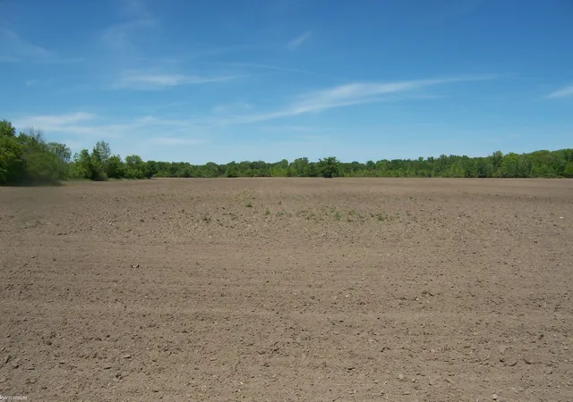 Homes for sale in Kimball, MI | Lot 4 Lapeer Rd Rd, Kimball, MI 48074 | MLS# 50209883