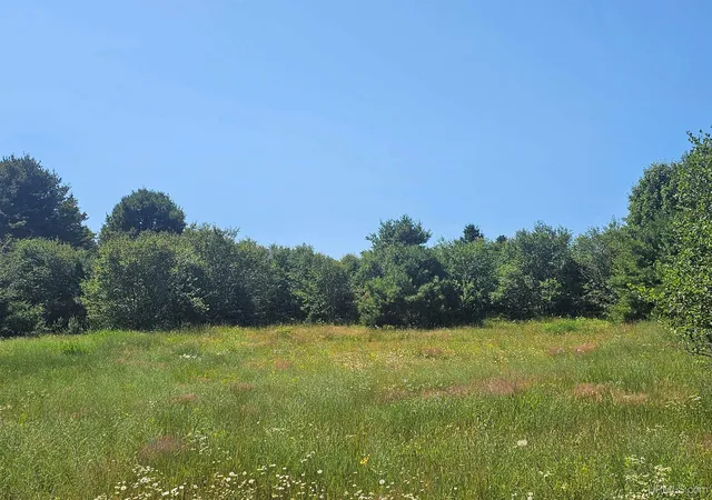 1st image of Tbd Parcel M5 River Trails Rd, Houghton, MI 49931 | MLS# 50214712