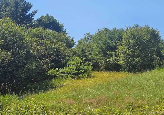 3rd image of Tbd Parcel M5 River Trails Rd, Houghton, MI 49931 | MLS# 50214712