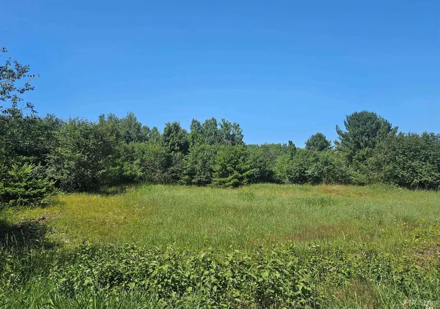 4th image of Tbd Parcel M5 River Trails Rd, Houghton, MI 49931 | MLS# 50214712