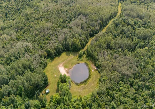 1st image of 35 Acres Townline Rd, Gulliver, MI 49840 | MLS# 50217385
