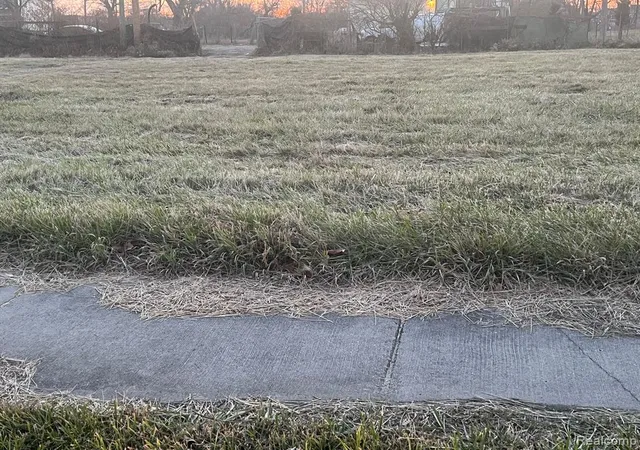 Photo 1 of Land for sale at 9067 Chrysler Dr, Detroit, MI 48211 | MLS# 60278141 | Listing updated on 2026-06-23