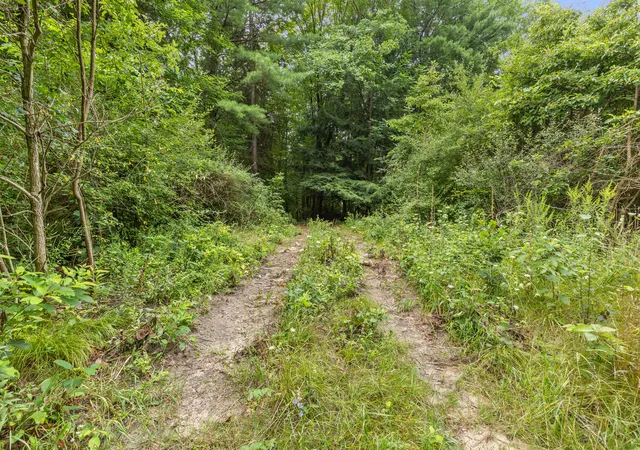 Land for sale at V/l W Stanton, Stanton, MI 48888 | MLS# 70552147