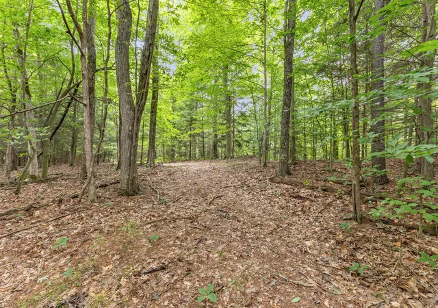 Photo 3 of Land for sale at V/l W Stanton, Stanton, MI 48888 | MLS# 70552147 | Listing updated on 2026-08-17