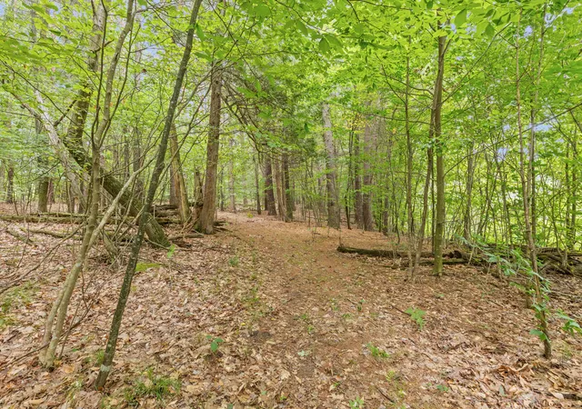 Photo 4 of Land for sale at V/l W Stanton, Stanton, MI 48888 | MLS# 70552147 | Listing updated on 2026-08-17