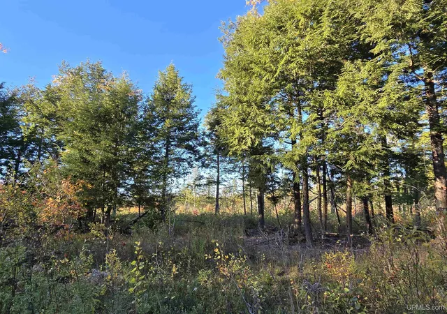 Photo 1 of Land for sale at Tbd Beartown Rd, Baraga, MI 49908 | MLS# 50192215 | Listing updated on 2025-10-31