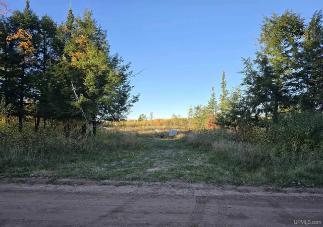 Photo 2 of Land for sale at Tbd Beartown Rd, Baraga, MI 49908 | MLS# 50192215 | Listing updated on 2025-10-31