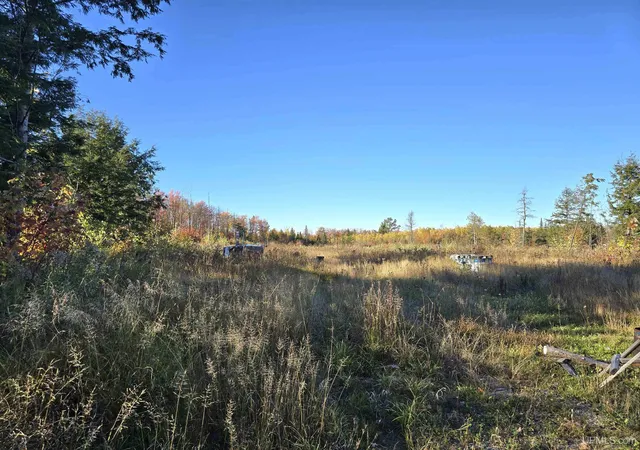 Photo 3 of Land for sale at Tbd Beartown Rd, Baraga, MI 49908 | MLS# 50192215 | Listing updated on 2025-10-31
