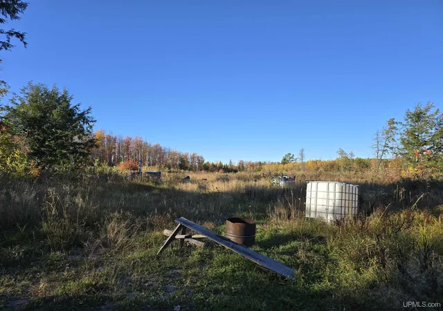 Photo 3 of Land for sale at Tbd Beartown Rd, Baraga, MI 49908 | MLS# 50192215 | Listing updated on 2025-10-31