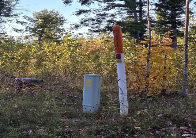 Photo 4 of Land for sale at Tbd Beartown Rd, Baraga, MI 49908 | MLS# 50192215 | Listing updated on 2025-10-31