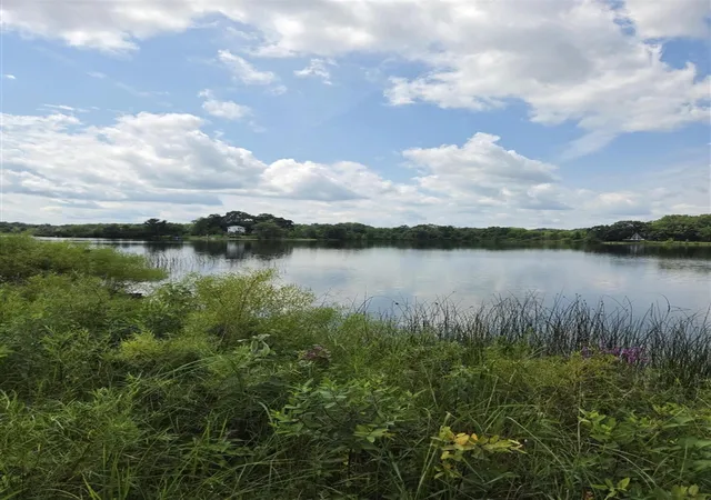 46th image of 18541 26 1/2 Mile Rd, Albion, MI 49224 | MLS# 70553385