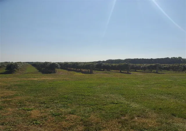 4th image of Vla County Road 671, Paw Paw, MI 49079 | MLS# 70540720