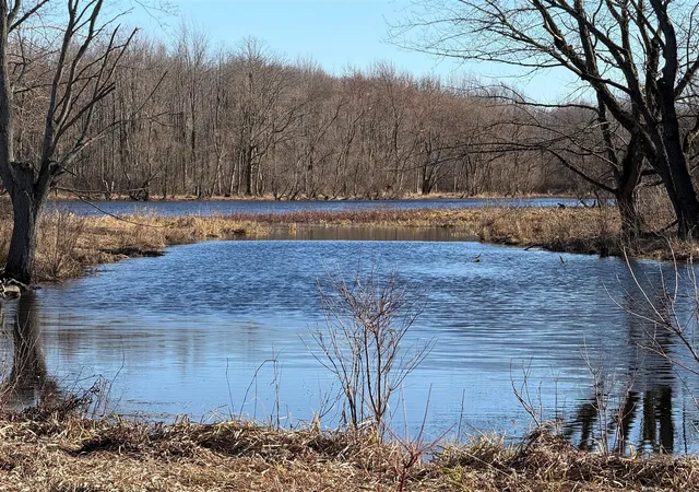 1st image of Vl E Dowling Rd, Dowling, MI 49050 | MLS# 70523180