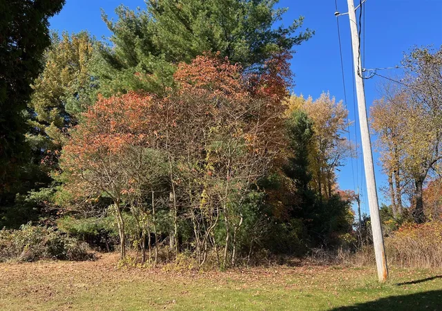 Photo 2 of Land for sale at Clinton Rd, Jackson, MI 49201 | MLS# 70437849 | Listing updated on 2026-06-01