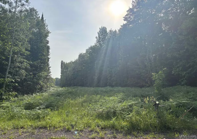 Homes for sale in Hancock, MI | Tbd 3 Forsman Rd, Hancock, MI 49930 | MLS# 50214234
