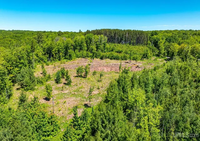 Homes for sale in Hancock, MI | Tbd 3 Forsman Rd, Hancock, MI 49930 | MLS# 50214234