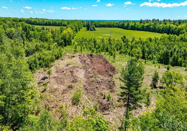 Homes for sale in Hancock, MI | Tbd 3 Forsman Rd, Hancock, MI 49930 | MLS# 50214234